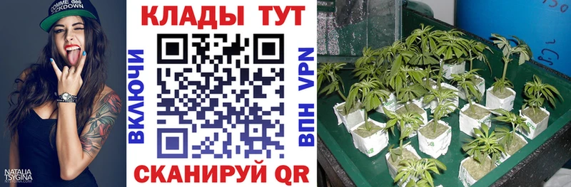Каннабис Люберцы