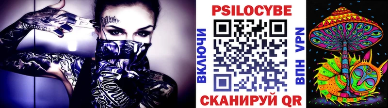 Галлюциногенные грибы Psilocybe Люберцы