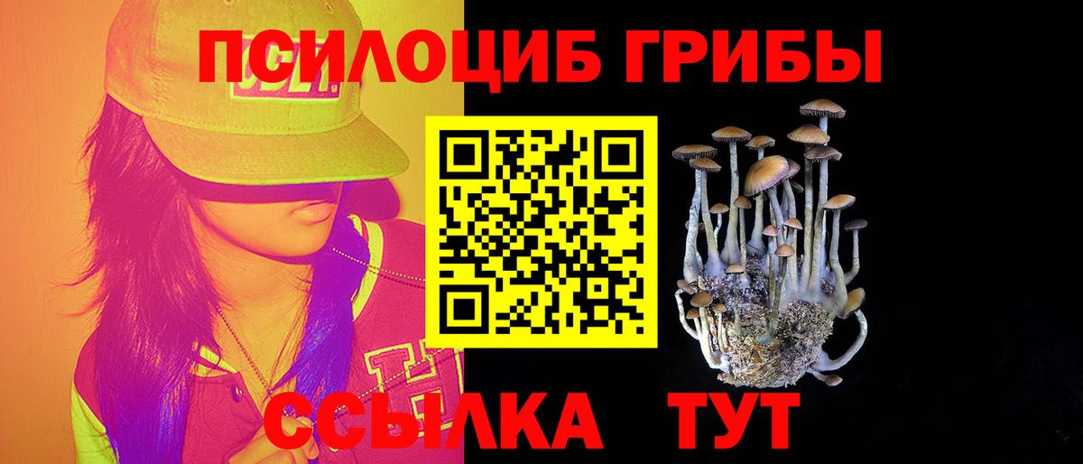 Псилоцибиновые грибы MAGIC MUSHROOMS Люберцы